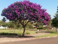 #TE0031 - Terreno para Venda em Sumaré - SP - 2