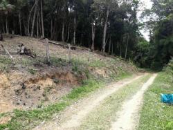 #TE0047 - Terreno para Venda em Juquitiba - SP - 1