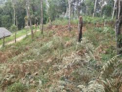 Terreno para Venda em Juquitiba - 4